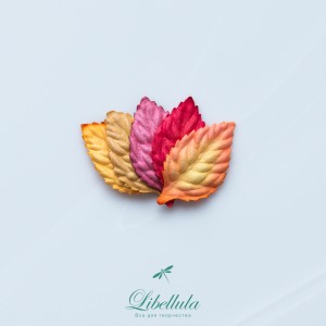 Листочки Листочки