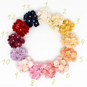 Цветы вишни 