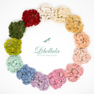 Махровые цветочки гипсофилы