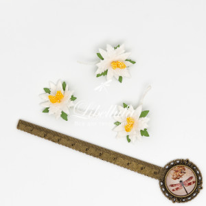 Пуансеттия 