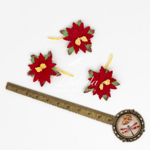 Пуансеттия 