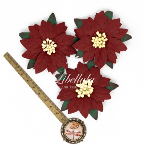 Пуансеттия 