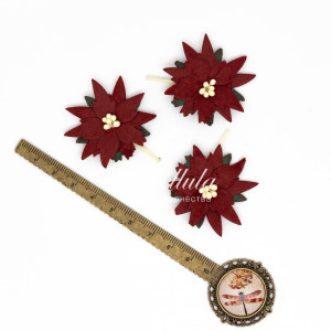 Пуансеттия 