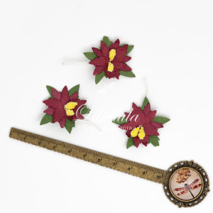 Пуансеттия 