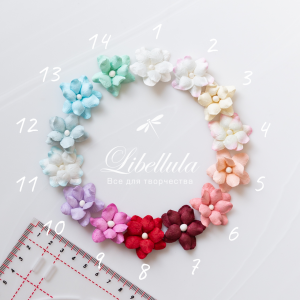 Фиалка (без стебелька) 