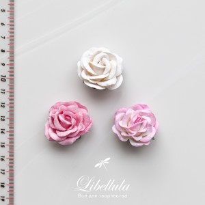 Розы 3,5см