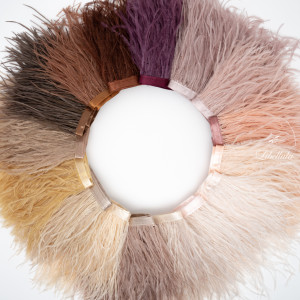 Перья на ленте 2