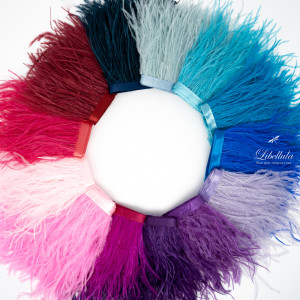 Перья на ленте 1