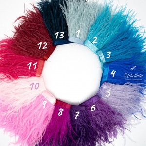 Перья на ленте 1