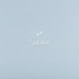 Фетр (цвет 849)