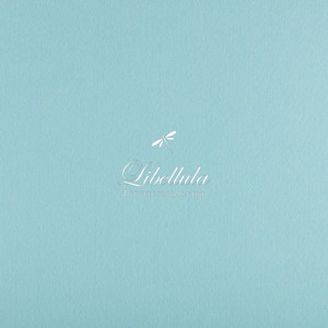 Фетр (цвет 851)