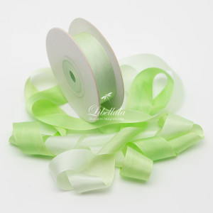 Шелковая лента 20 мм v032