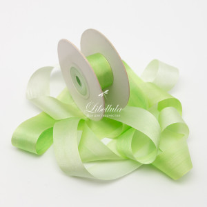 Шелковая лента 25 мм v032 Шелковая лента 25 мм v032